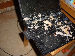 vomit-286.jpeg