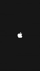 AppleiP5.jpg
