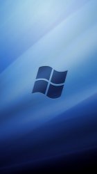 windows.jpg
