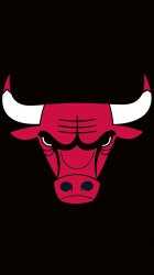 Bull.jpg