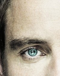 fassy1.jpg