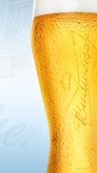 budweiser-pilsner.jpg