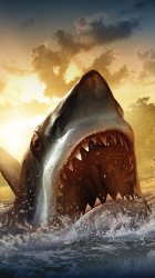 white-shark.jpg