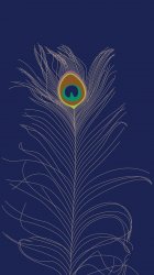 Peacock big.jpg