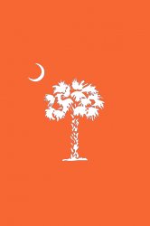 Clemson palmetto.jpg