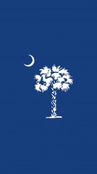 Blue Clemson palmetto.jpg
