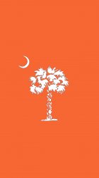 Orange Clemson palmetto.jpg