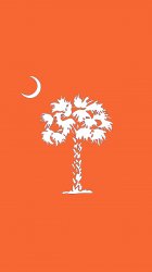 Orange Clemson palmetto 02.jpg