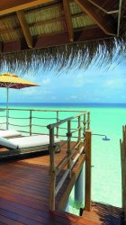 tropical_vacation-ip5.jpg