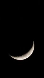 Moon.jpg