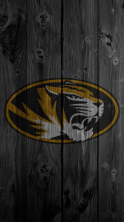 middle_mizzou.png