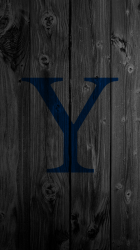 yaleb.png