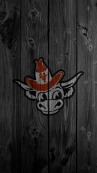 bull_2.png