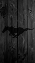 black_mustang.png