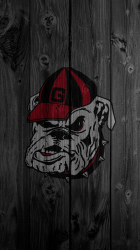 bulldog.png