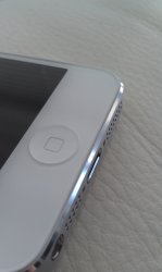 IMAG0541.jpg
