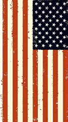 american-flag_tattered1.jpg