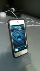 IMAG0049.jpg