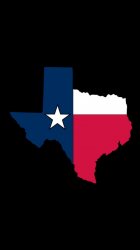 texas-flag-state.jpg