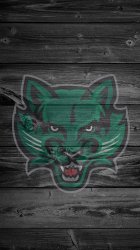 Bearcats.jpg