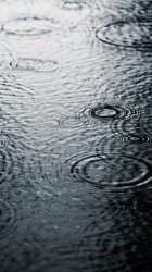 rain.jpg