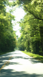 charleston_road.png