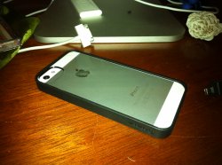 IMG_0233.JPG