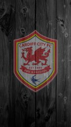 cardiff.jpg