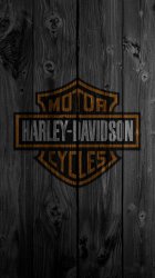 Harley i5.jpg