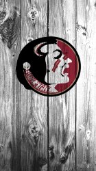FSU 2.jpg