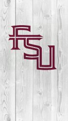 FSU 3.jpg