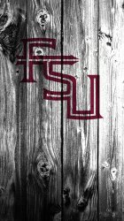 FSU 4.jpg