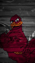 Hokie-Bird-Wood-Horiz.jpg