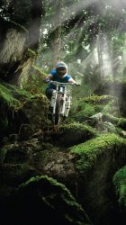 MTbikeWP.jpg