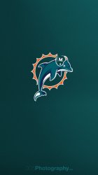 Aqua_Dolphins.jpg