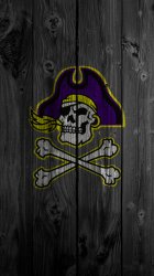pirateskull.jpg