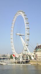S3010037.jpg