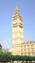 S3010040.jpg
