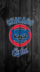 CubsSmaller.jpg