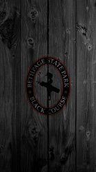 Bethpage State Park on Wood.jpg