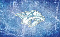 Predators_Ice_Wallpaper_by_DevinFlackpng.jpeg