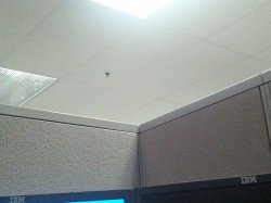 IMG_20120927_083825.jpg