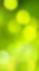Lime Green Bubbles.jpg