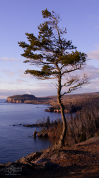 iPhone5 Wallpaper Palisade Morning.png