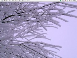 january desktop.jpg