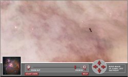 ant.jpg