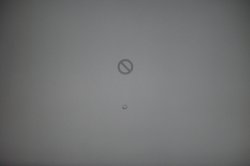DSC02259.JPG