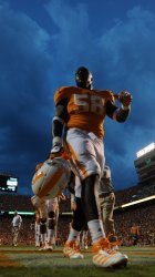 VOLS3.jpg