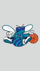 Charlotte Hornets logo.jpg