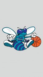 Charlotte Hornets logo.jpg